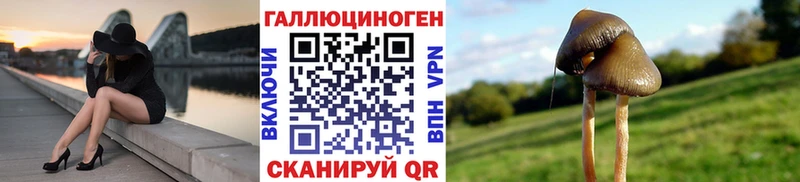 Галлюциногенные грибы мухоморы MEGA tor Евпатория наркотики